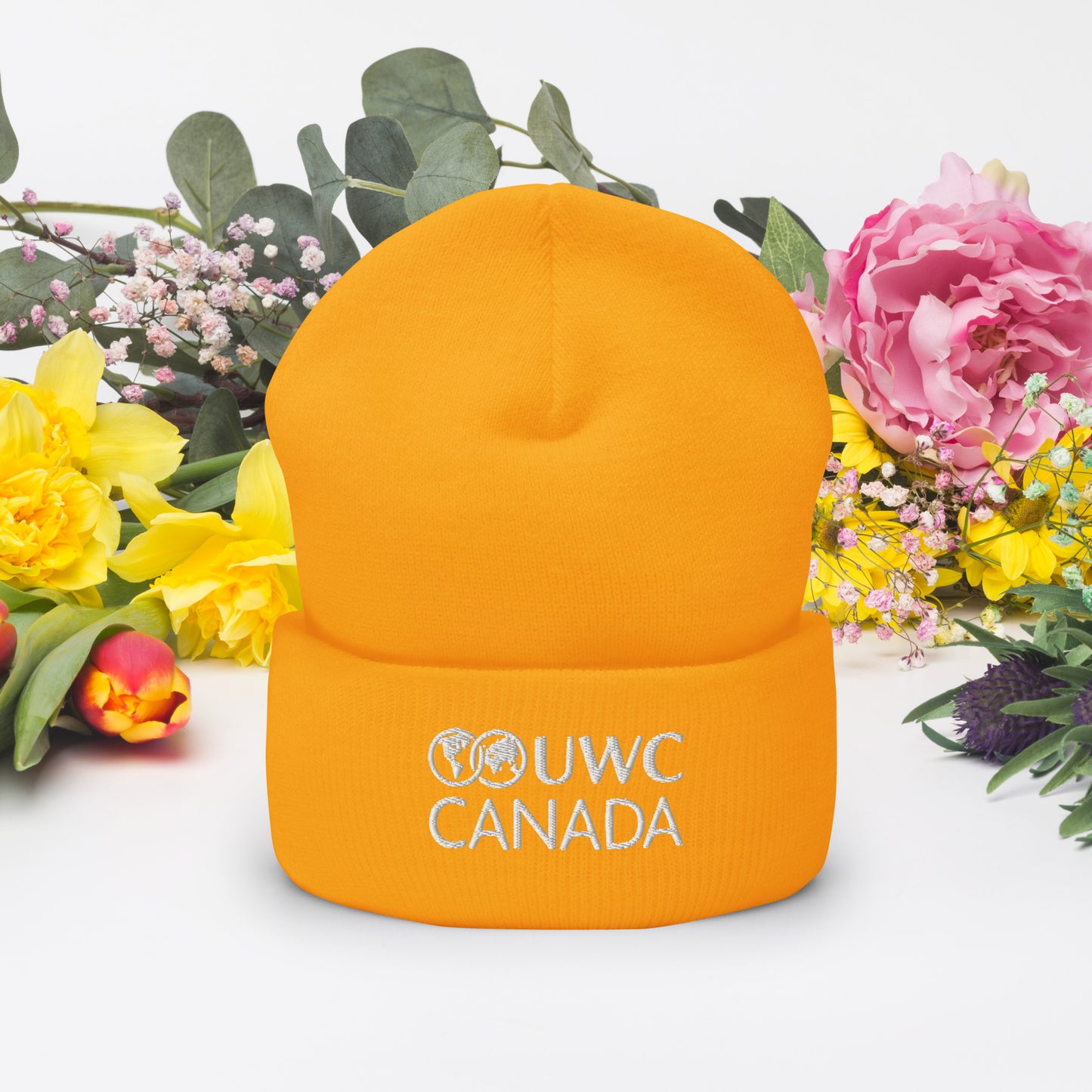 Toque